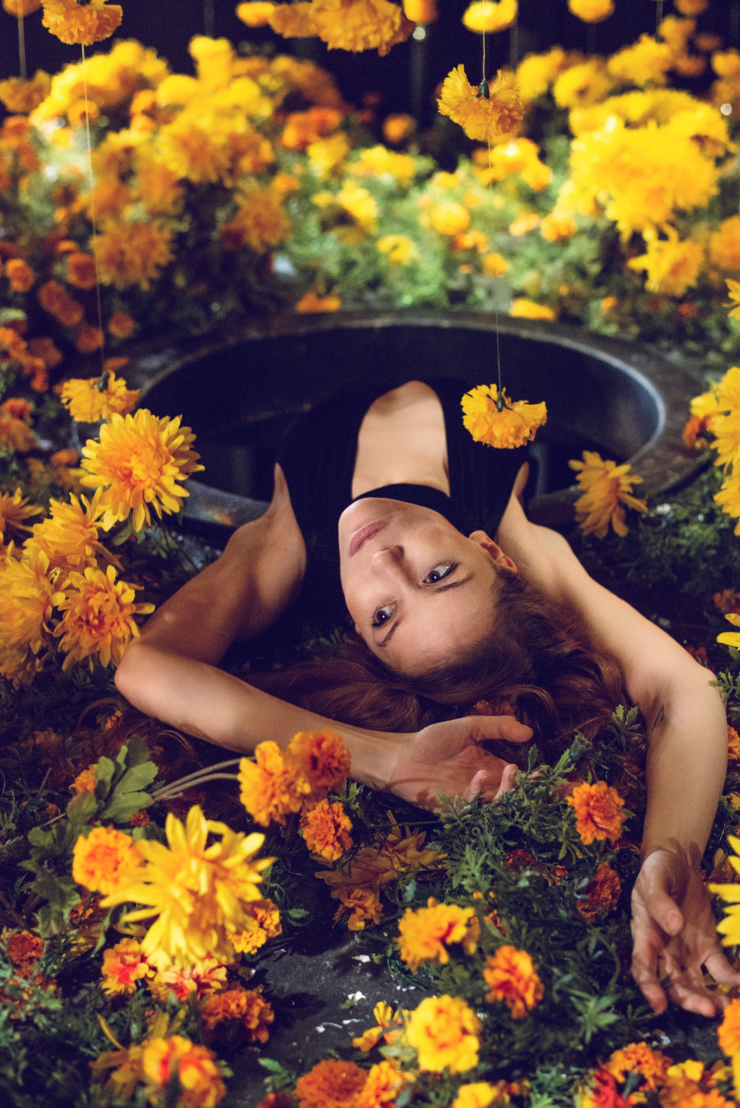 into-the-rabbit-hole-and-back-into-a-garden-of-marigolds.jpg